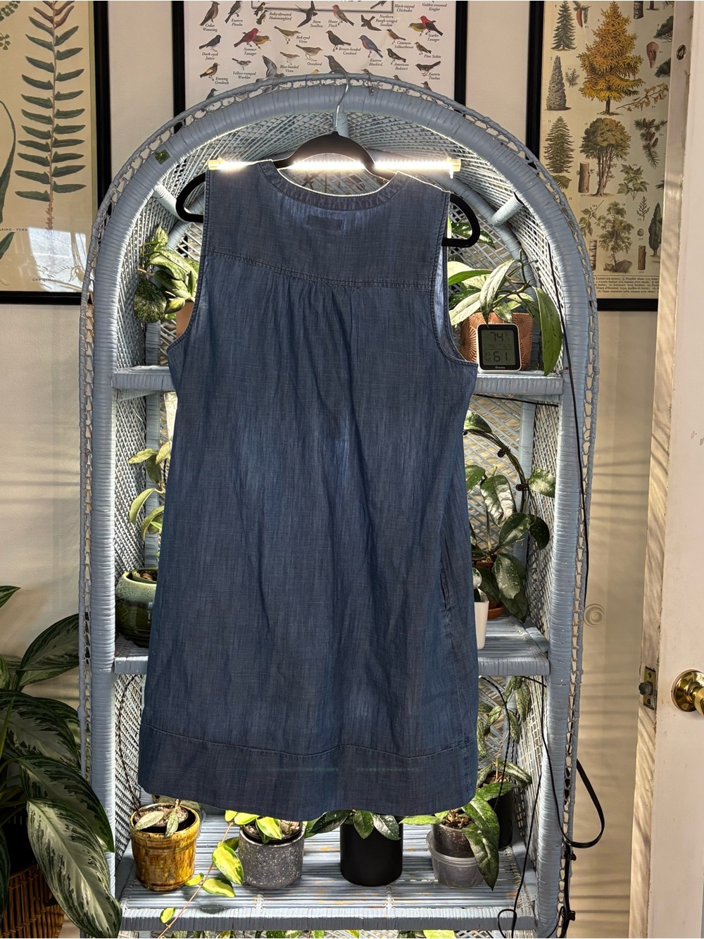 Sleeveless Chambray Button-Front Dress in Denim Blue - Picture 2 of 6